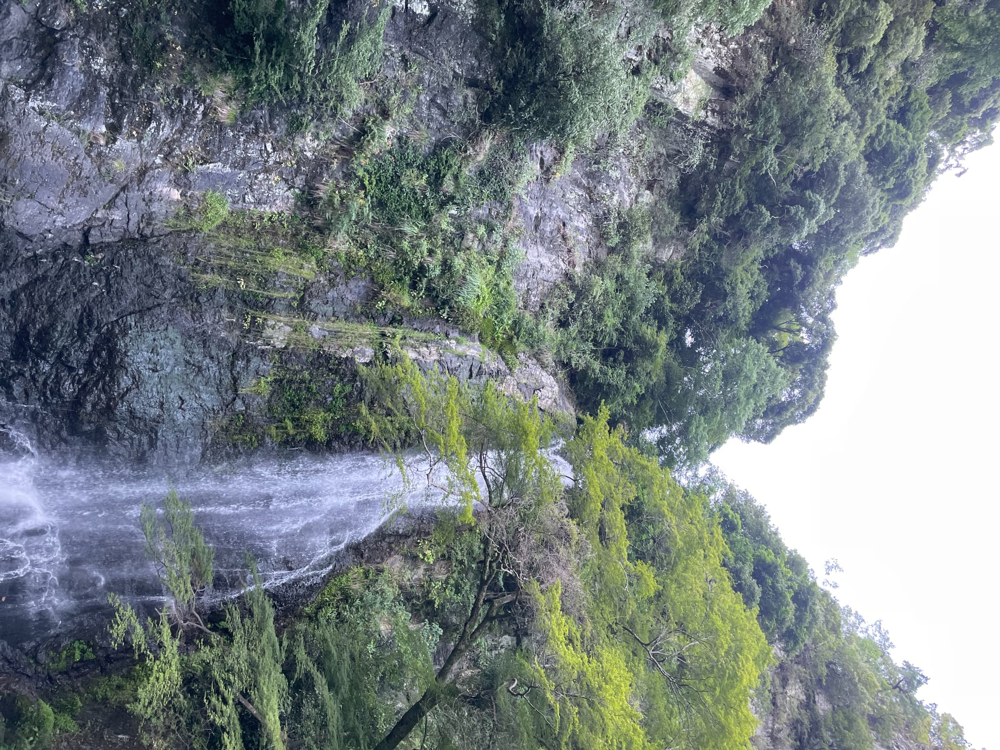 【staff diary】「冷たくて美味しいもの」と「涼しい場所」を求めて