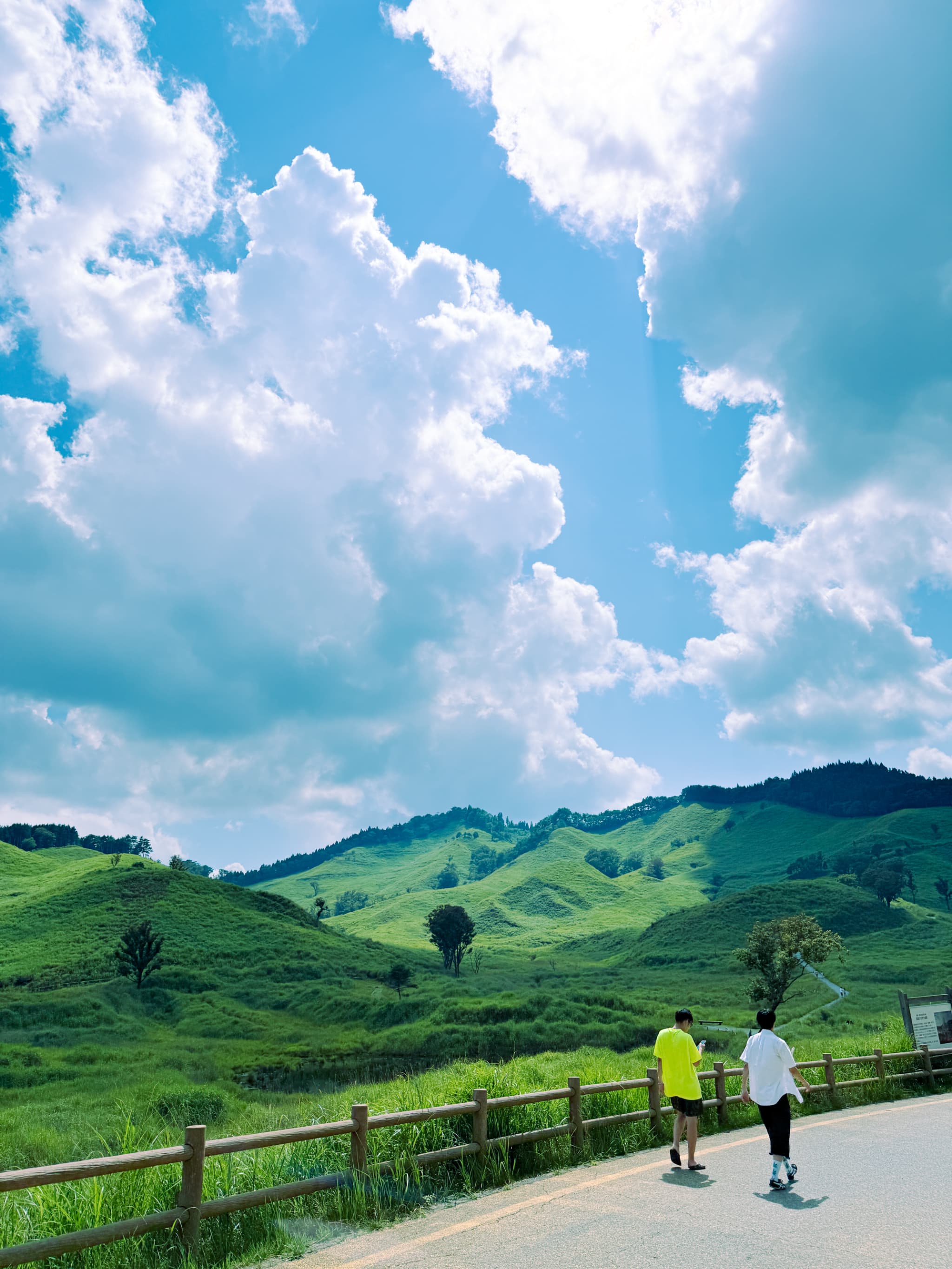 【staff diary】新しい趣味