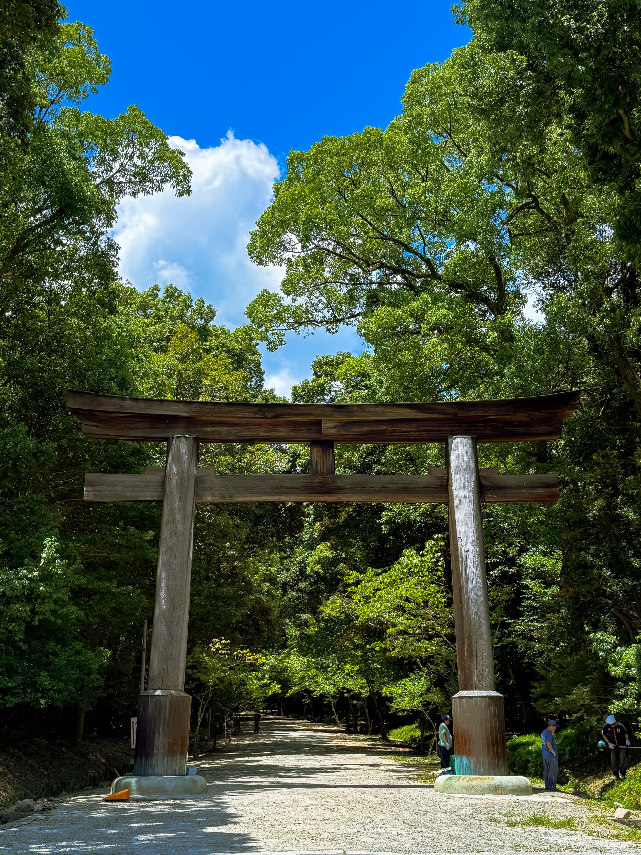 【staff diary】新しい趣味