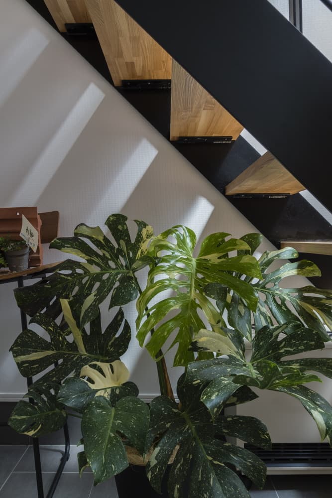 ギャラリーのような空間を持つ、白亜の邸宅