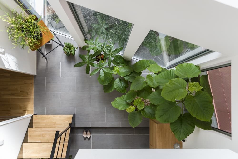 ギャラリーのような空間を持つ、白亜の邸宅