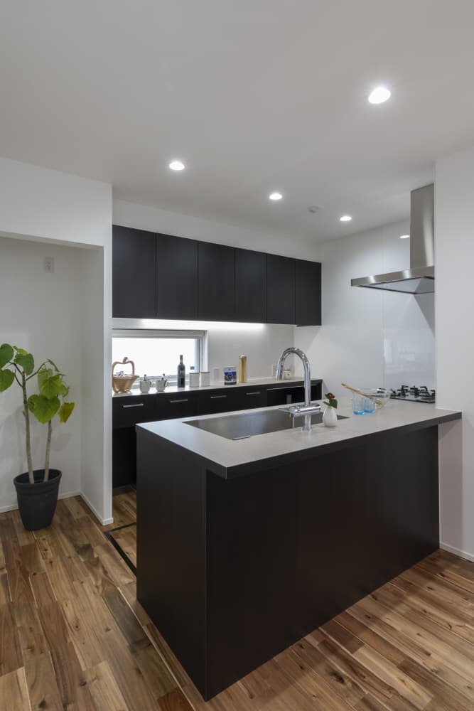 白いラップサイディングと片流れ屋根の家