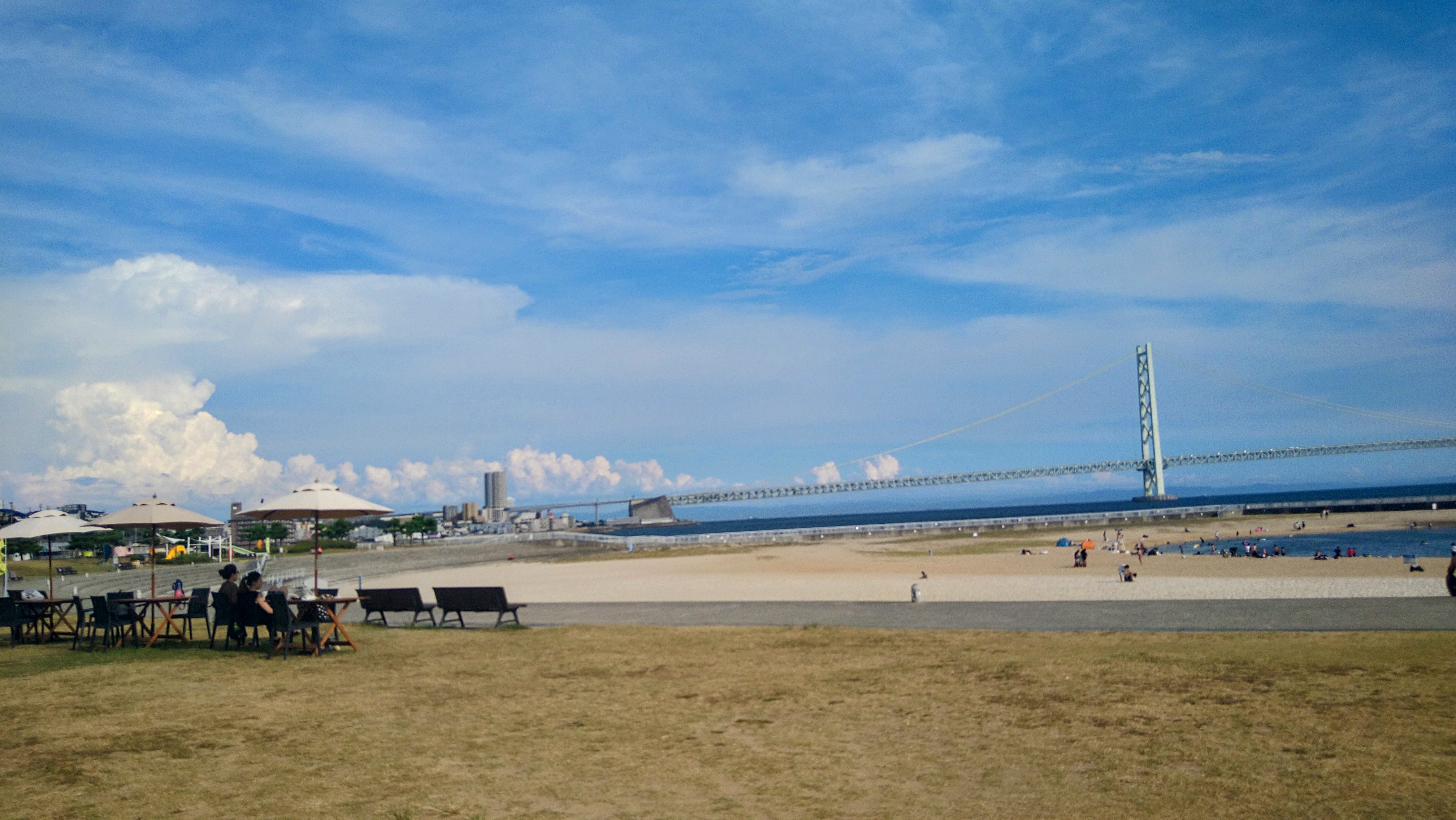 【Staff diary】海日和