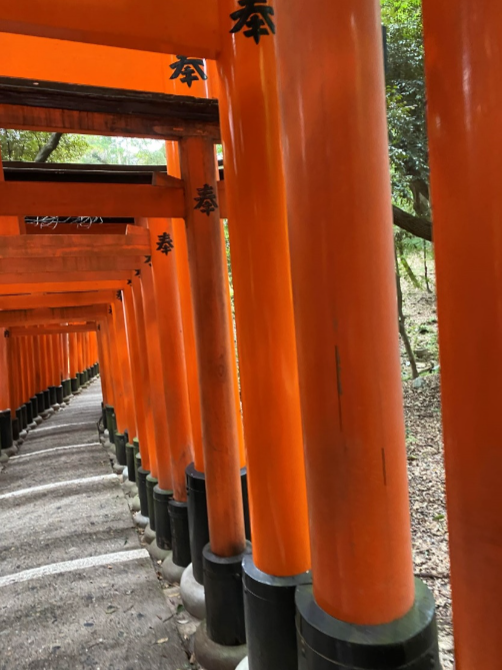 【Staff diary】日帰り京都旅行