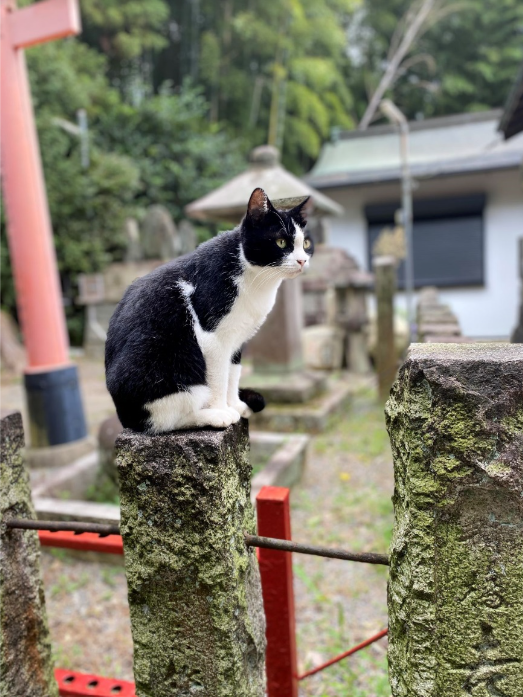 【Staff diary】日帰り京都旅行