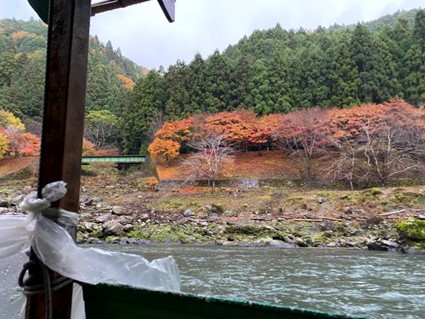 【Staff diary京都の嵐山🍁】