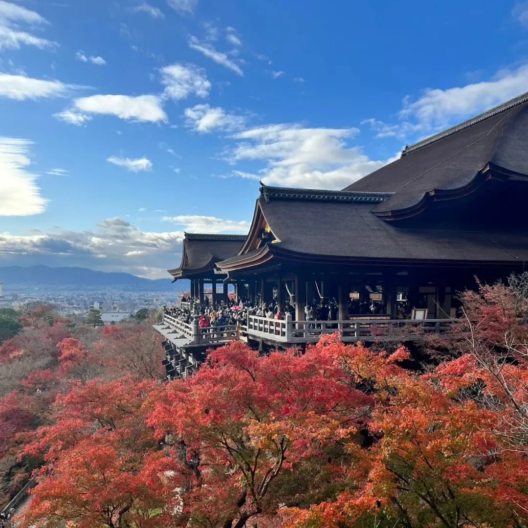 【Staff diary】京都旅行🍁