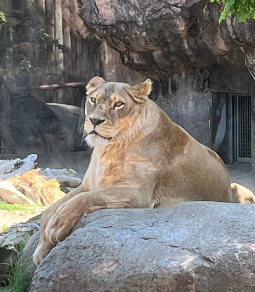 【staff diary】大充実の休日　at天王寺動物園