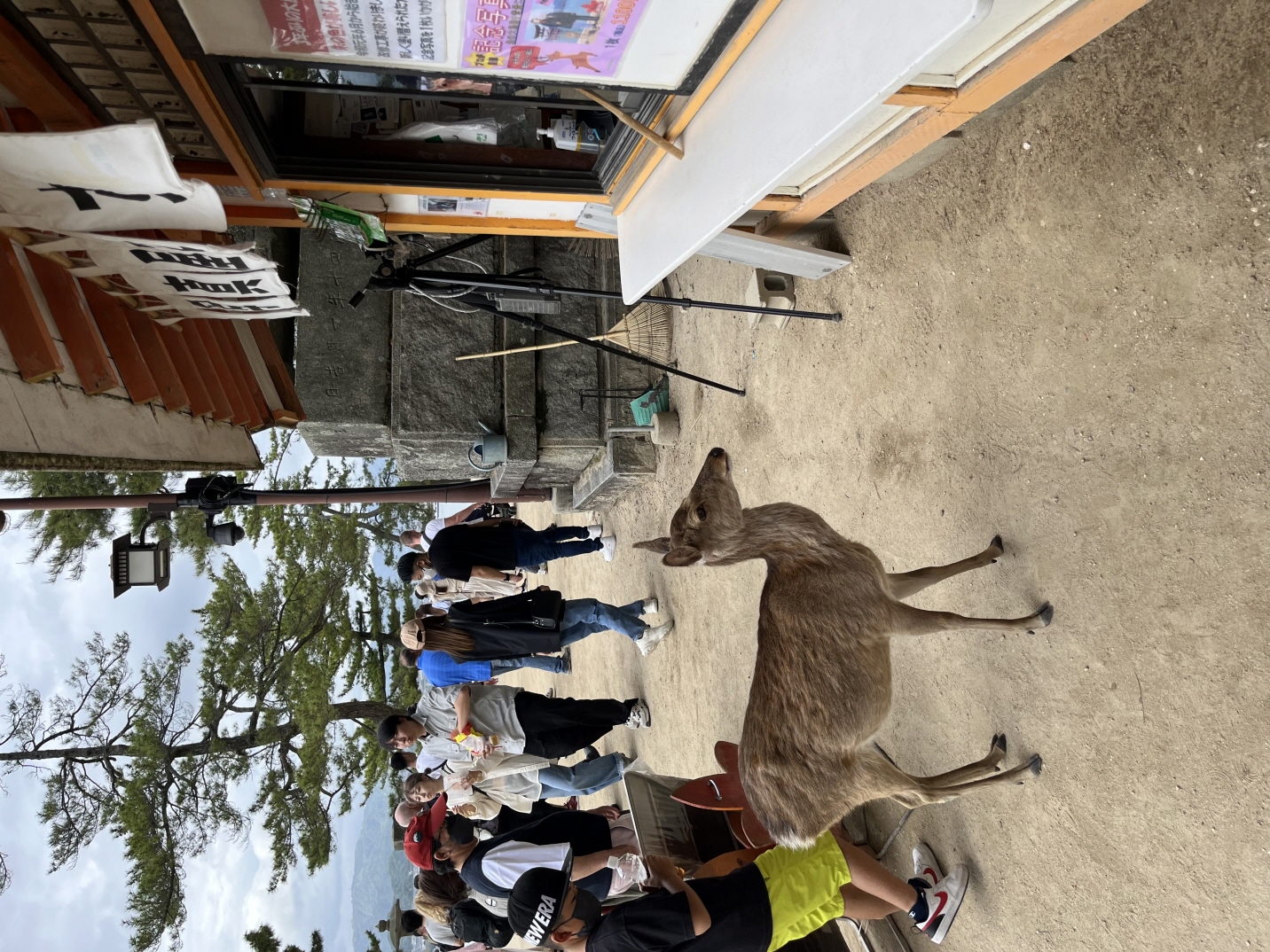 【staff diary】広島旅行♪(´▽｀)